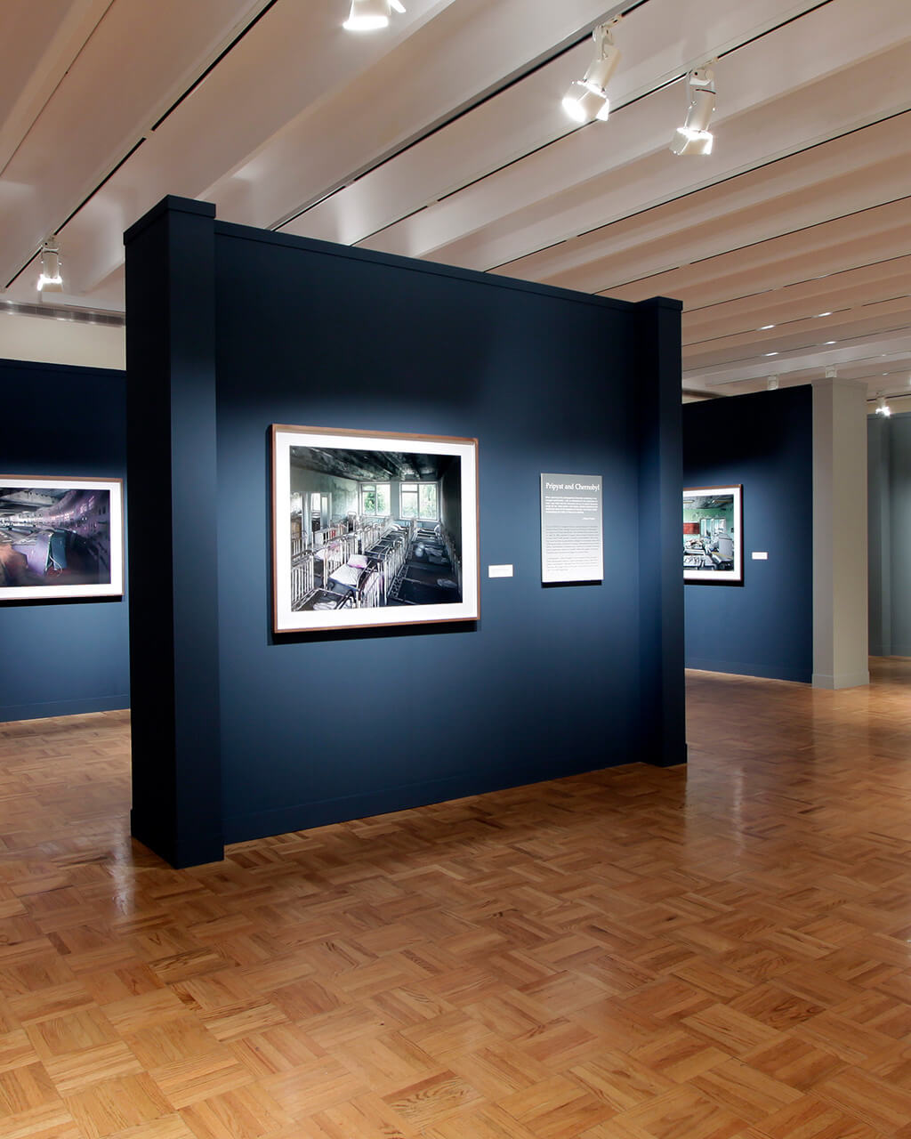Framed photographs by Robert Polidori hung on freestanding walls painted dark blue and green in a large gallery.
