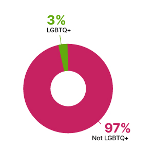 A donut chart showing that 97% of the board do not identify as LGBTQ+ and 3% do