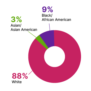 A donut chart showing that 885 of the board is white, 3% Asian/Asian American, and 9% Black/african American