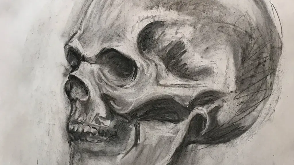 Realistic sketch of a skull.