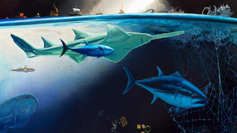 Painting of aquatic life swimming toward a net and trash below a tiny horizon line of boats and ships.