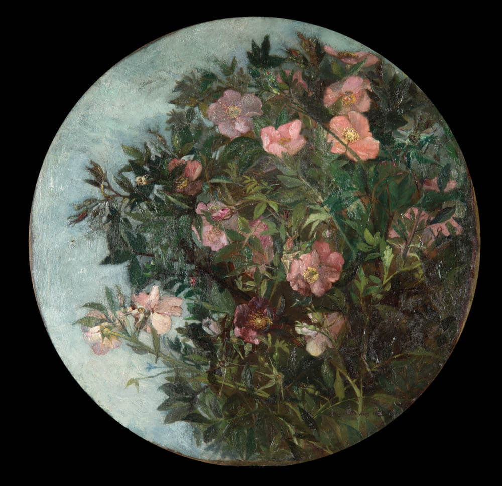 Circular painting of a tangle of wild rose bushes.