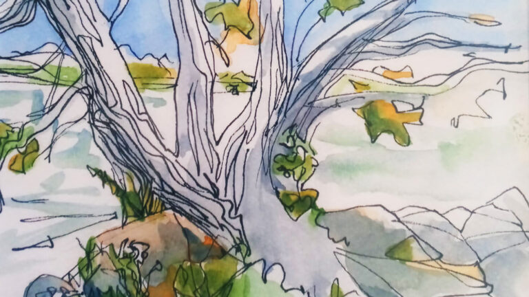 An ink-sketched landscape with a tree in the foreground, colored with watercolors.