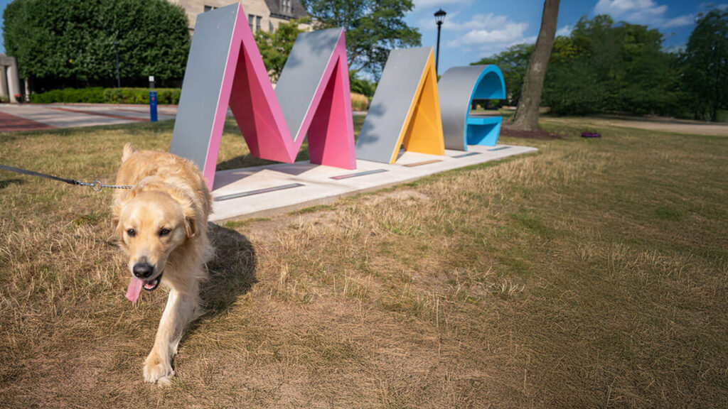 A golden retriever walks next to the MAG sign on a sunny day.